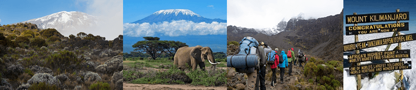 https://www.taswachallenge.com/7-days-kilima-njaro-marangu-route/