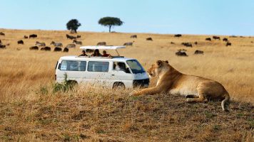 3 Days Maasai Mara
