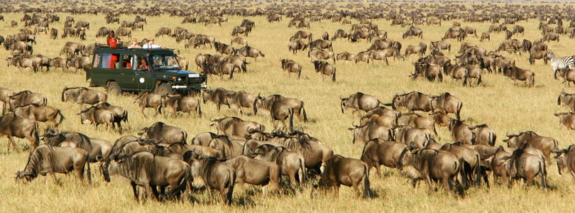 7 Days Kenya Safari