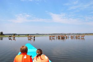 Lake Naivasha Tour