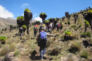 Mount Kenya Climbing Naromoru Route