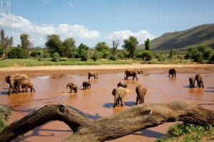 samburu-budget camping safari