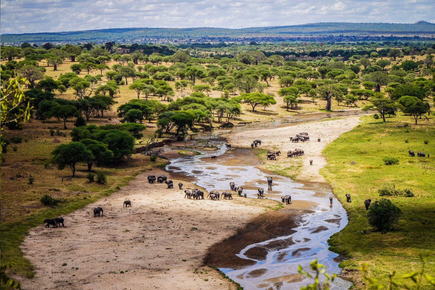 Tarangire Ngorongoro Manyara Safari
