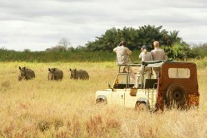 Meru National Park Safari