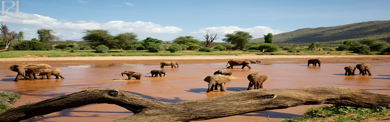 Samburu Camping Safari