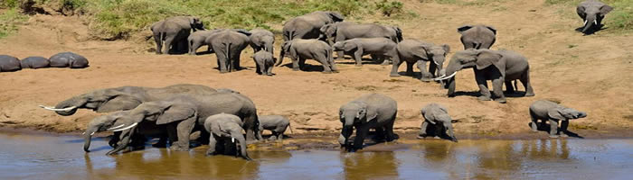 Tarangire National Park